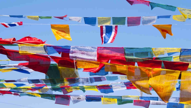 Best Global Festivals: Cultures, Traditions, Experiences